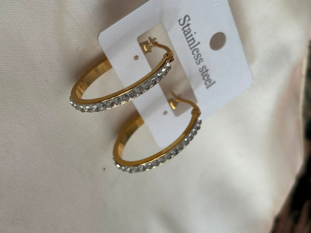 Selene Pave Stainless Hoops