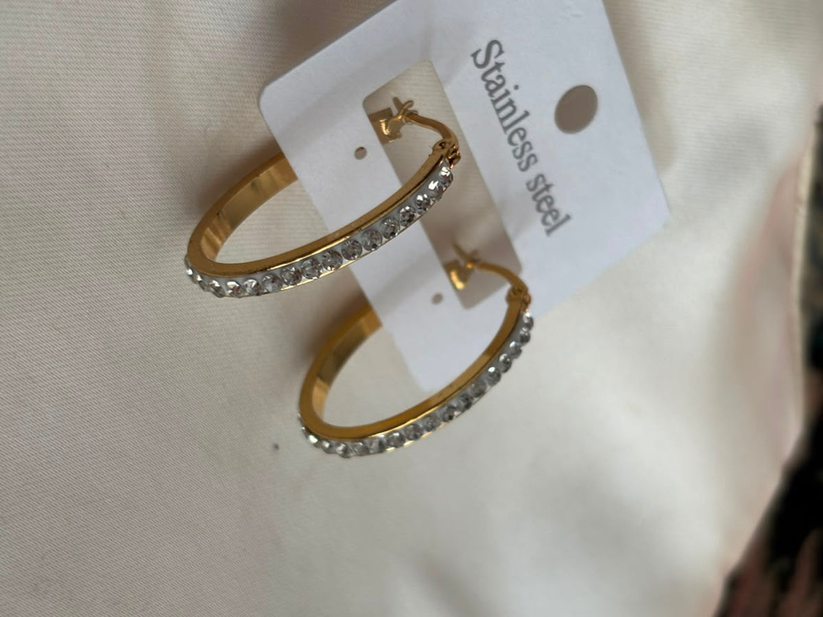 Selene Pave Stainless Hoops